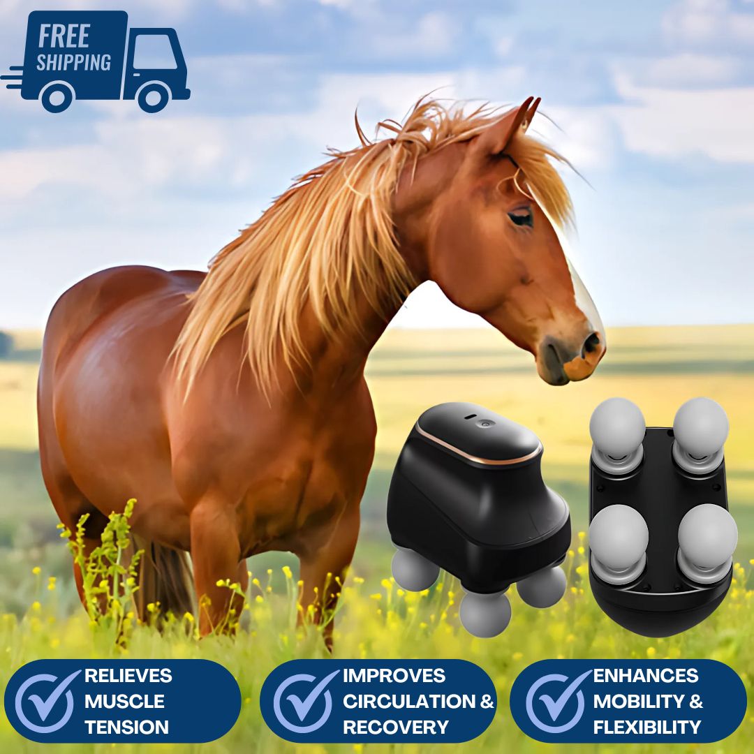 Chevaroo 4 Heads Massager
