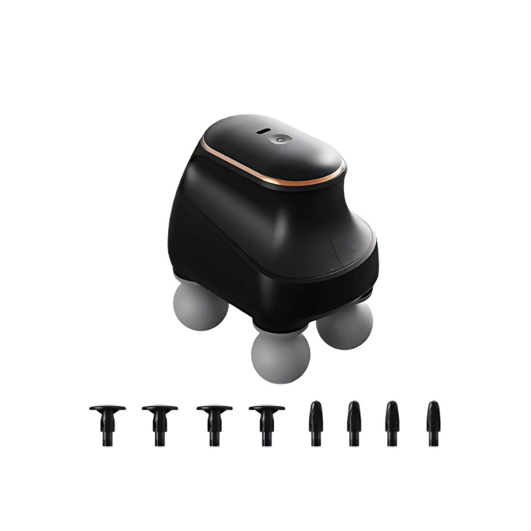 Chevaroo 4 Heads Massager