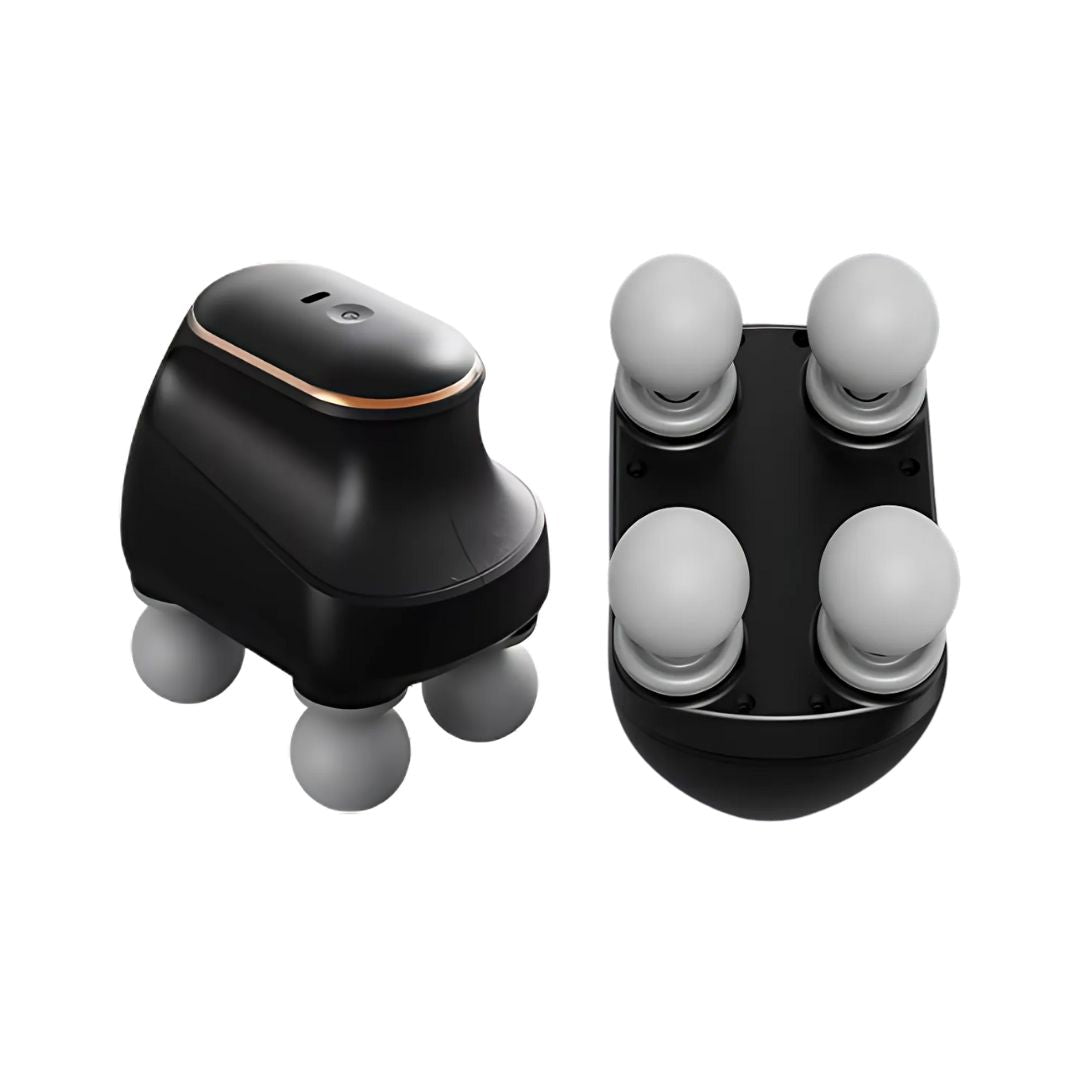 Chevaroo 4 Heads Massager