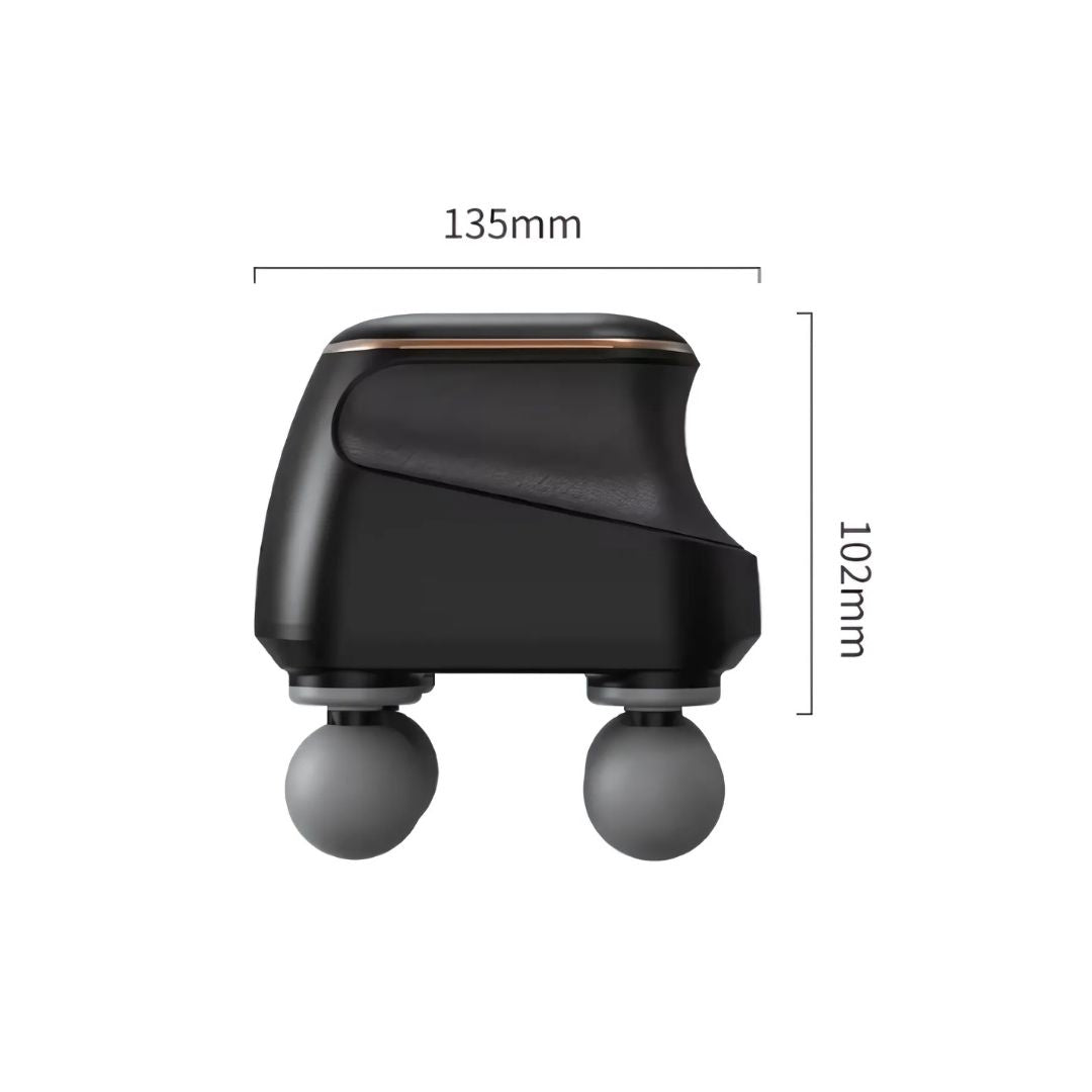 Chevaroo 4 Heads Massager