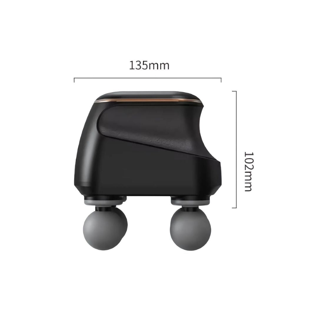 Chevaroo Dog 4 Heads Massager