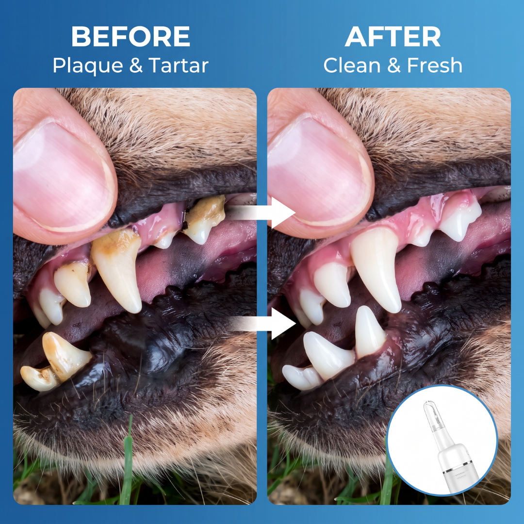 Chevaroo Dog UltraSonic Water Plaque Remover