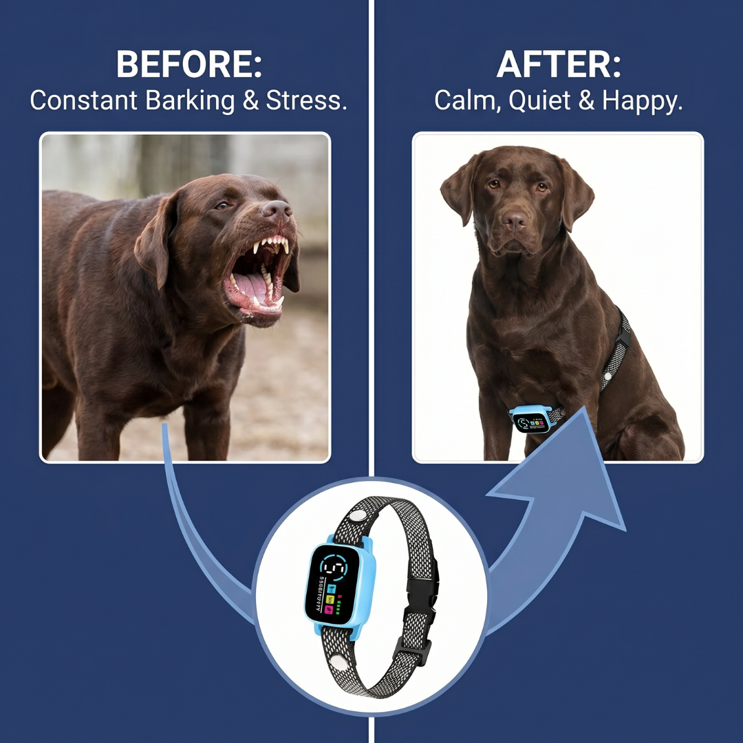 Chevaroo Dog AI Belly Bark Pro