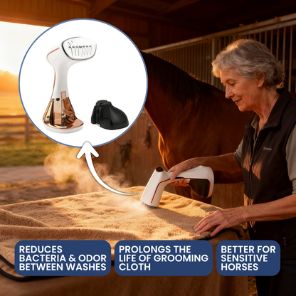 Chevaroo Hot Clothing Steamer