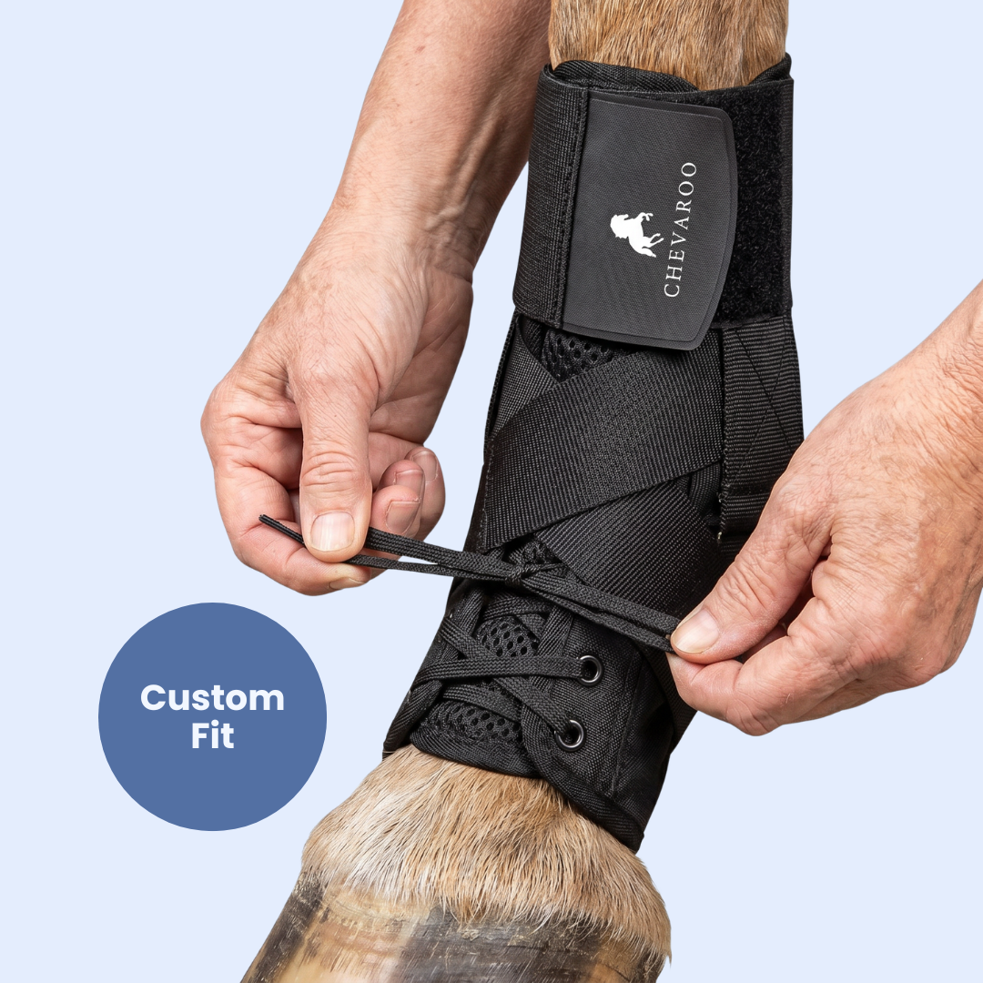 Chevaroo Suspensory Ligament Stability Boot