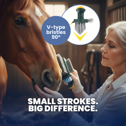 Chevaroo 4-in-1 Head Brush