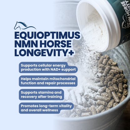 EquiOptimus NMN Horse Longevity+