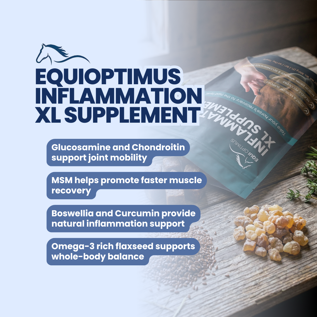 EquiOptimus Inflammation XL Supplement