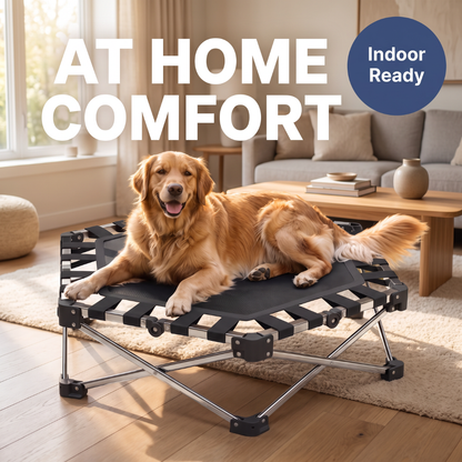 Chevaroo Indoor & Outdoor Elevated Foldable Dog Bed