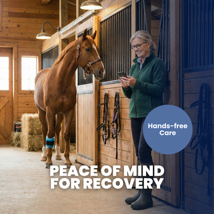 Chevaroo Equi-Cool Therapy Wrap