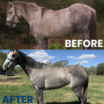 Chevaroo Cordless Horse 5-in-1 Vacuum Cleaner