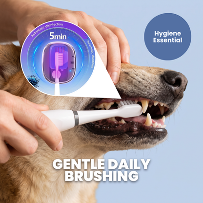 Chevaroo UV Toothbrush for Dog