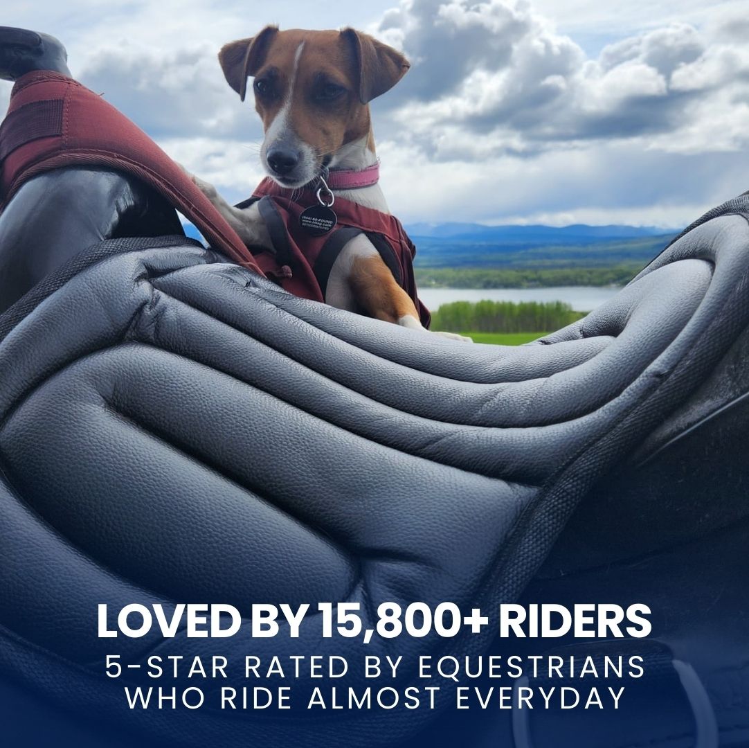 Chevaroo Soft Equestrian Seat Pad (Extra Comfort)