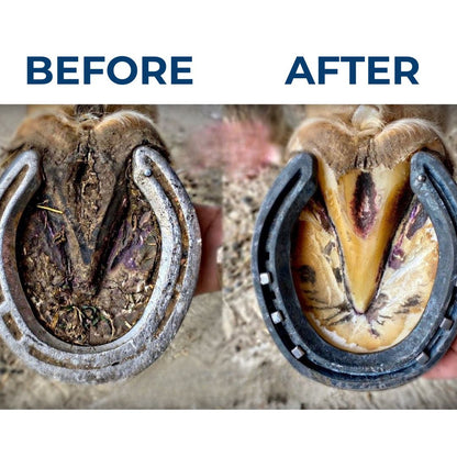 Chevaroo Water Hooves Cleaner