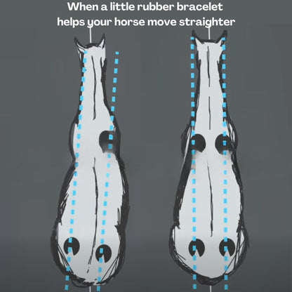 Chevaroo Equilibrium Weighted Horse Strap