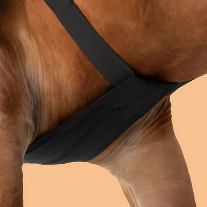 Chevaroo Horse Posture Corrector