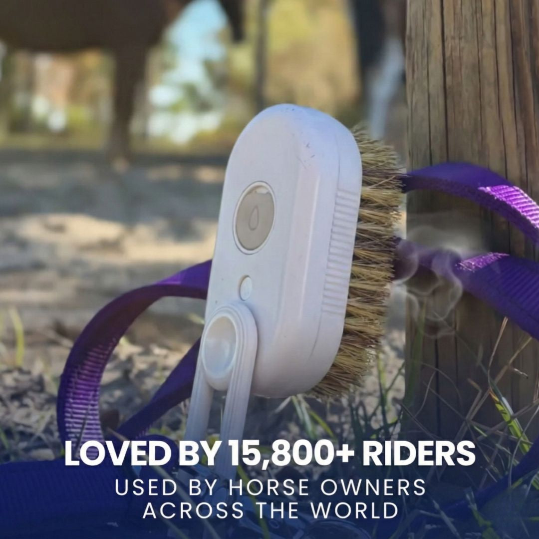 Chevaroo Dandy Steam Brush