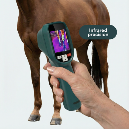 EquiOptimus AI Horse Inflammation Detector