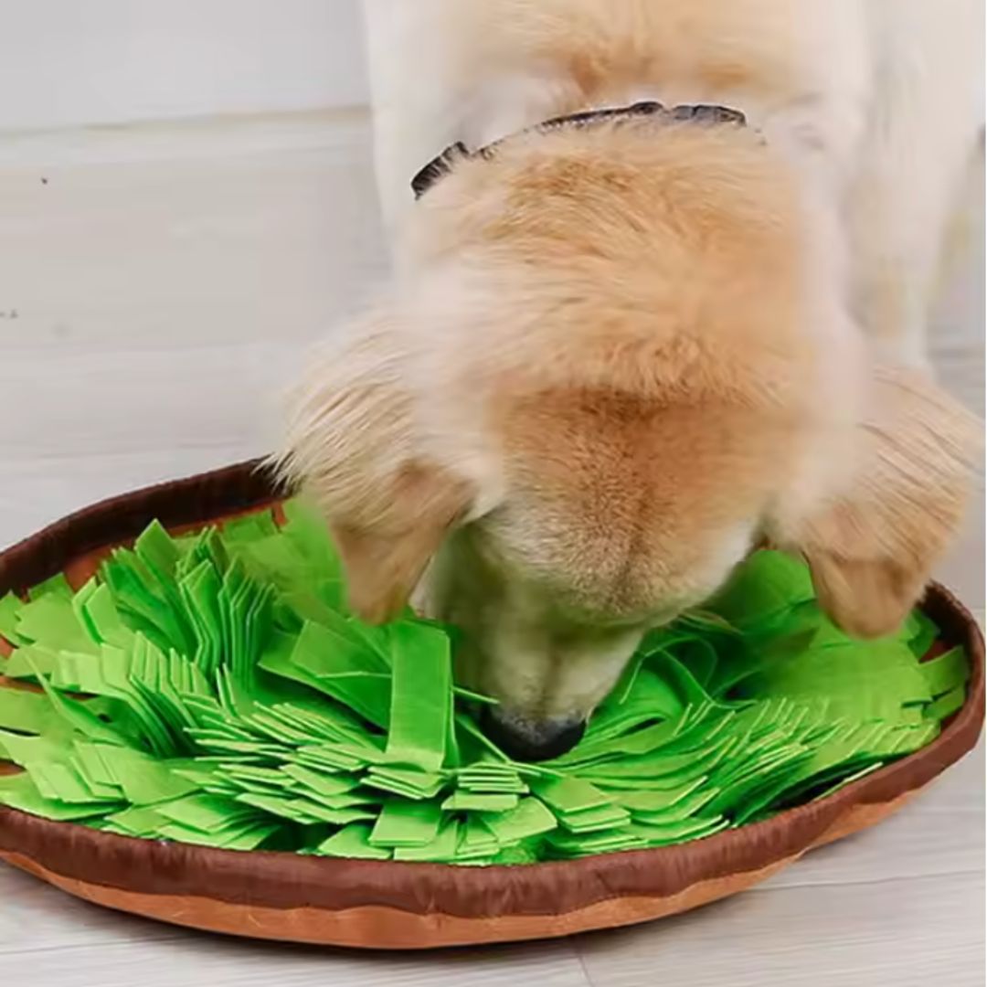Chevaroo Automatic Dog Snuffle Mat Feeder