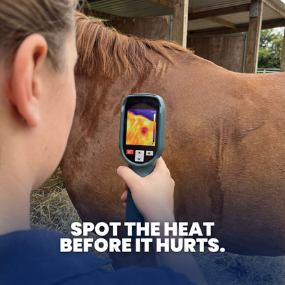 EquiOptimus AI Horse Inflammation Detector