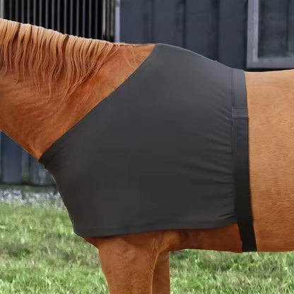Chevaroo Horse Back Posture Corrector