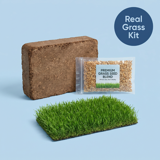 Chevaroo Fresh DIY Indoor & Outdoor Potty Training Grass Mat