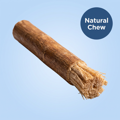 Chevaroo Dog Self-Cleaning XXL Miswak Stick