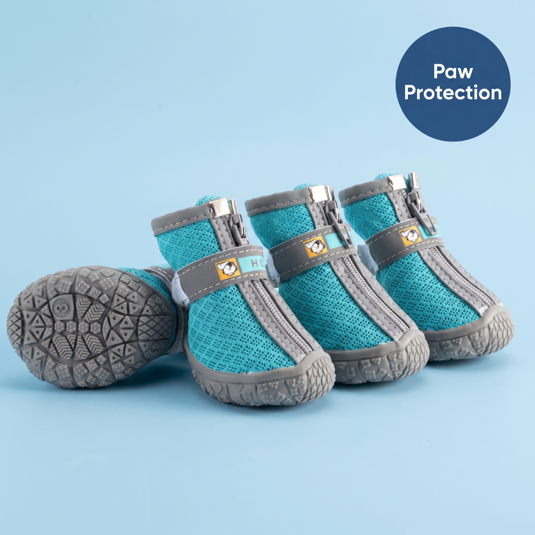Chevaroo Dog Anti Slip At Home Shoes