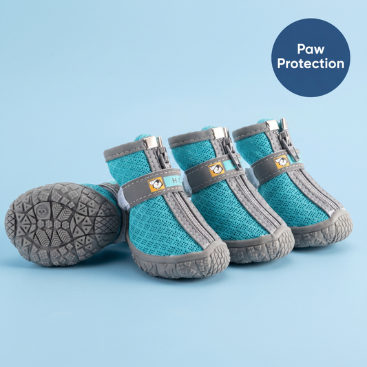 Chevaroo Dog Anti Slip At Home Shoes