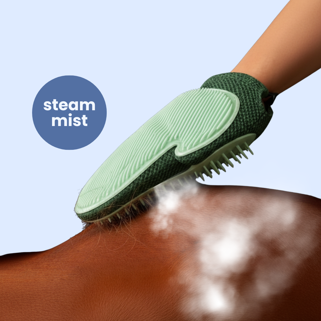 Chevaroo Hand Steam Brush