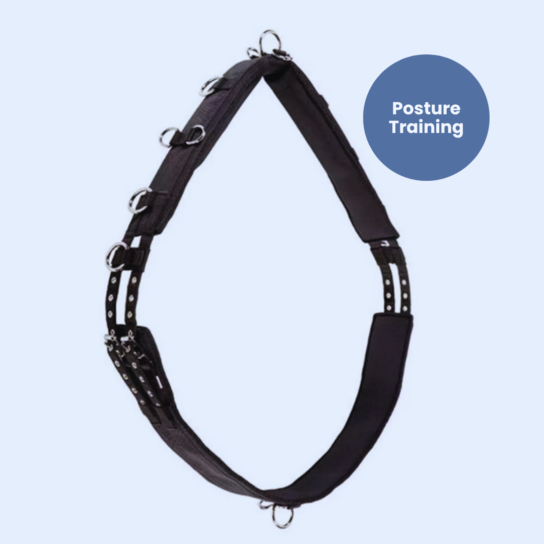 Chevaroo Horse Swayback Corrector