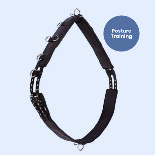 Chevaroo Horse Swayback Corrector