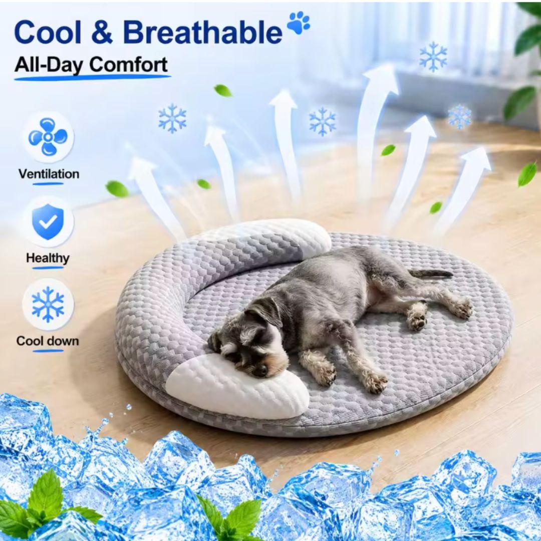 Chevaroo Lavender-Filled Pillow Calming Dog Bed