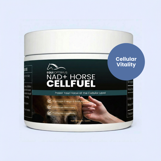 EquiOptimus NAD+ Horse CellFuel