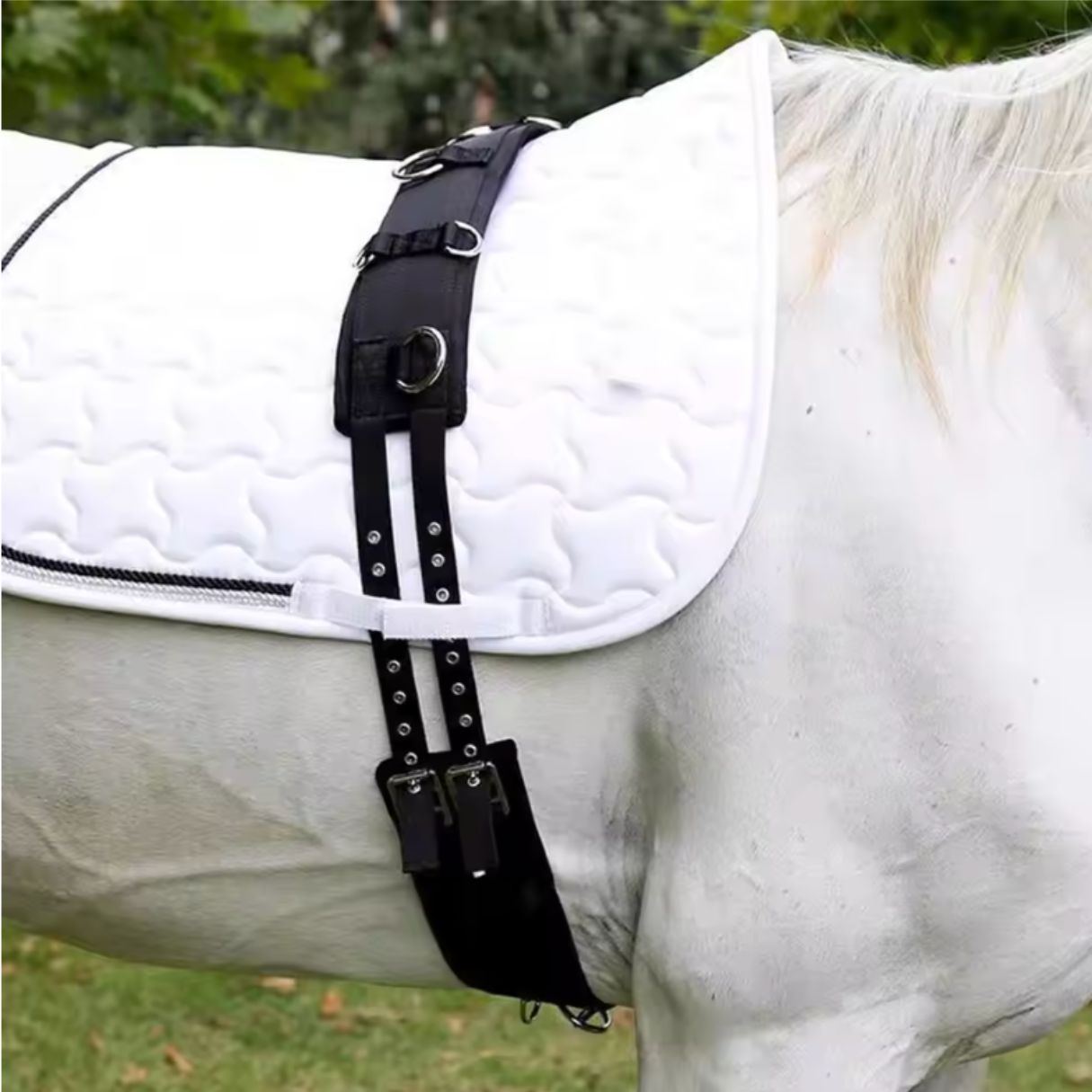Chevaroo Horse Swayback Corrector