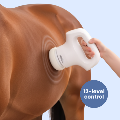 Chevaroo XXL Massager
