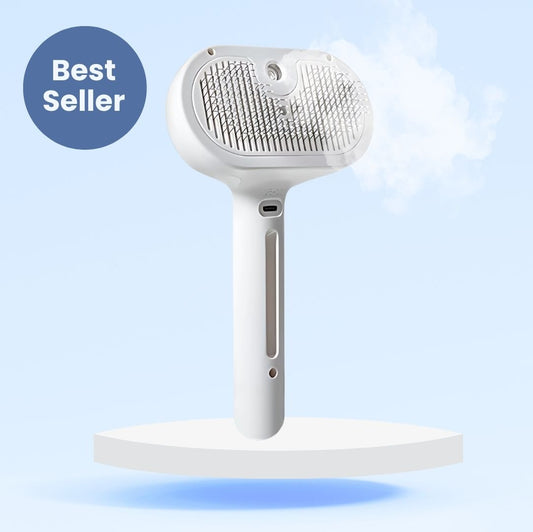 Chevaroo Steam Brush 2E Generation