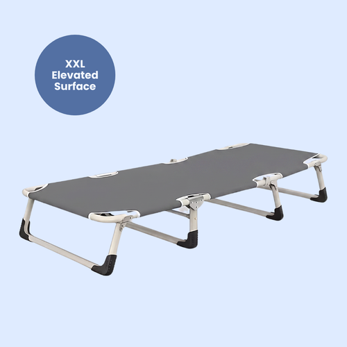 Chevaroo XXL Elevated Foldable Dog Bed