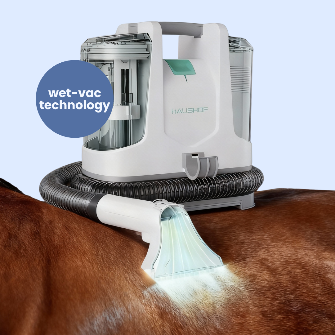 Chevaroo Dual Horse Cleaning
