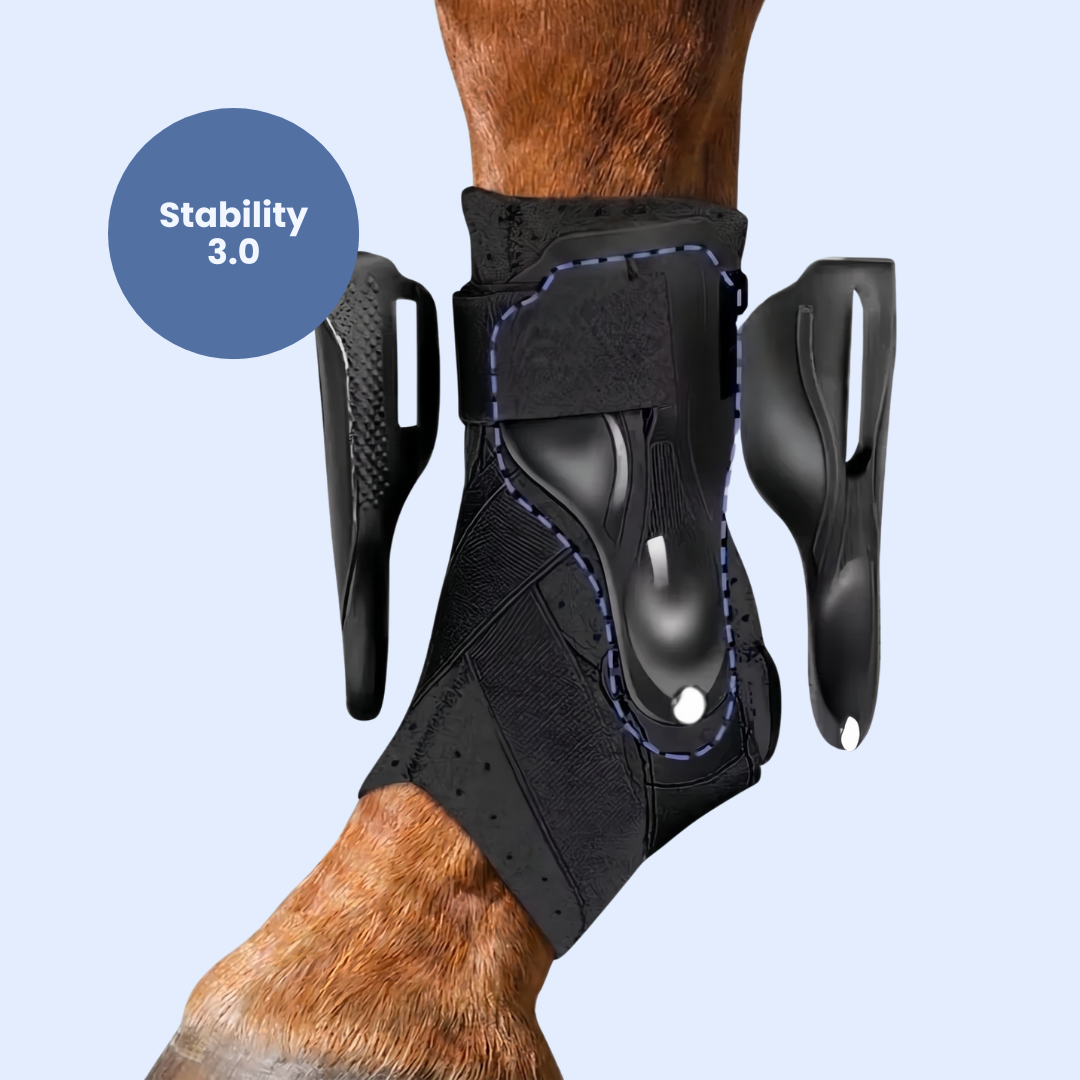 Chevaroo Suspensory Ligament Stability Boot 3.0
