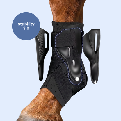 Chevaroo Suspensory Ligament Stability Boot 3.0