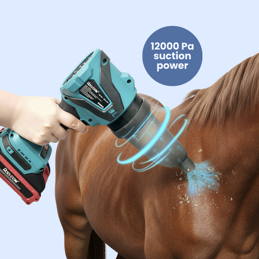 Chevaroo Handheld 2-in-1 Blower Vacuum