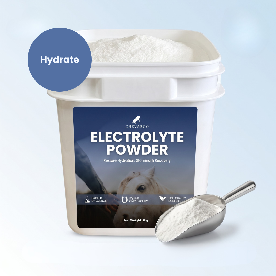 Chevaroo Electrolyte Powder (2kg)
