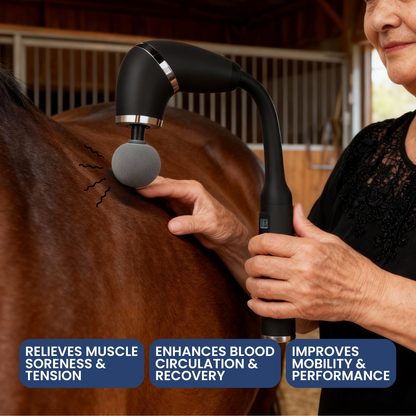 Chevaroo Long Advanced Gun