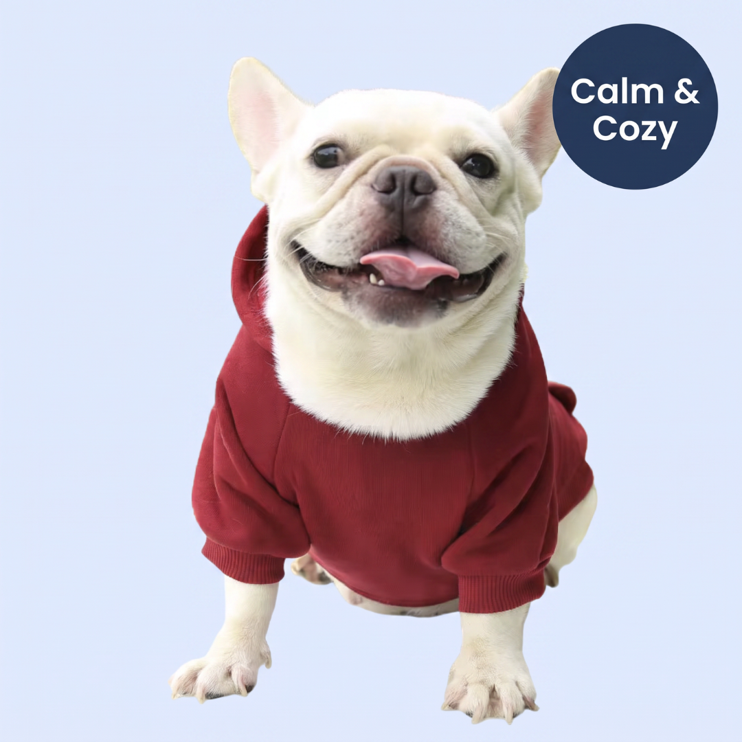 Chevaroo Weighted Calming Dog Hoodie