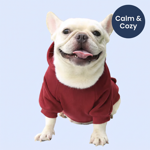 Chevaroo Weighted Calming Dog Hoodie