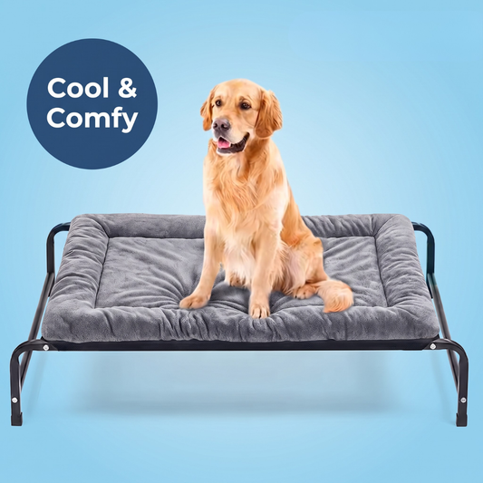 Chevaroo Elevated Orthopedic Dog Bed