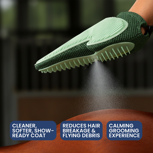 Chevaroo Hand Steam Brush