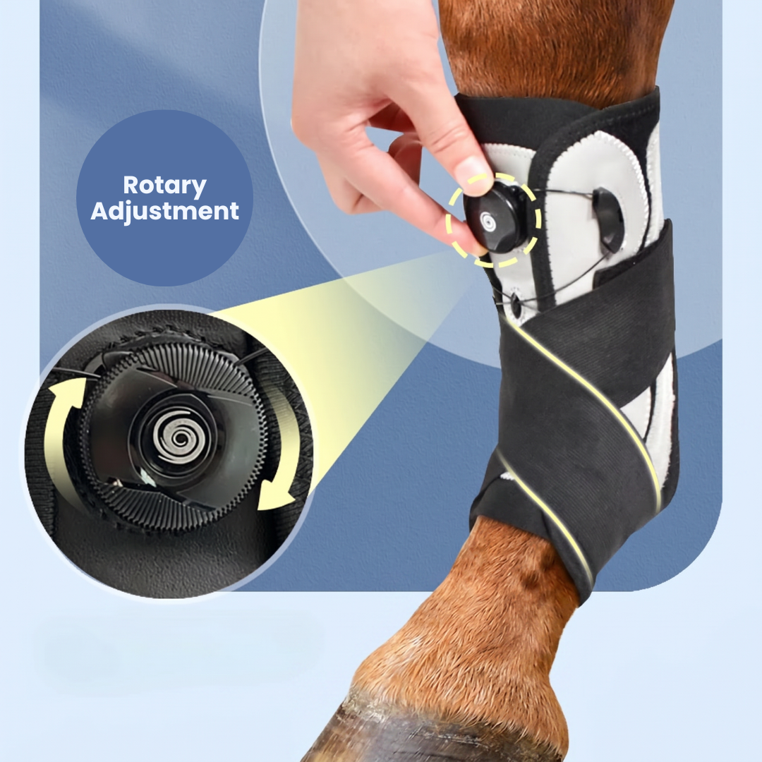 Chevaroo Suspensory Ligament Stability Boot 2.0