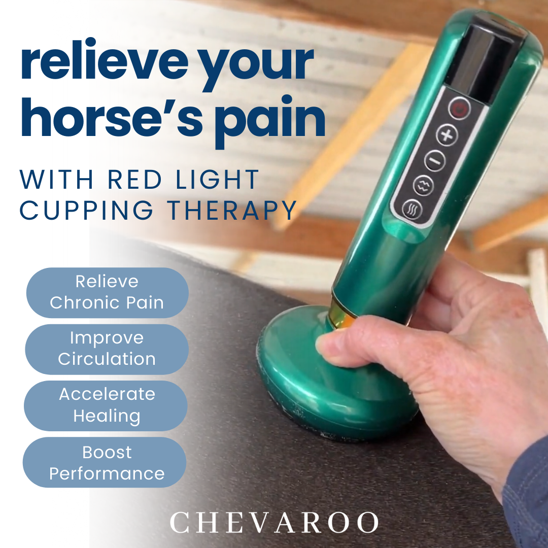 Chevaroo Horse Red Light Cupping Therapy